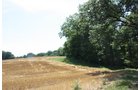 Property photo 5 - AUCTION POSTPONED